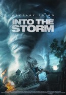 Into the Storm poster image