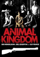 Animal Kingdom poster image