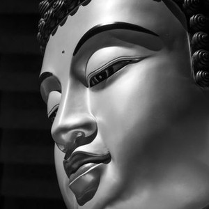 The Great Buddha+ photo 1