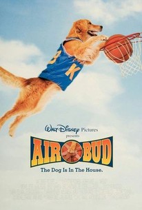Air Bud poster