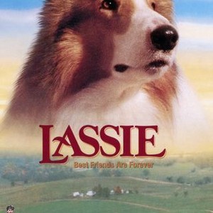 Lassie (1994) photo 13