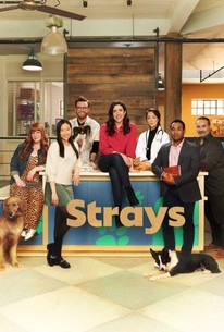Strays: Season 1 poster image
