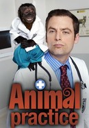 Animal Practice poster image