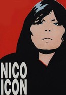 Nico-Icon poster image