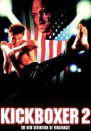 Kickboxer 2: The Road Back poster image