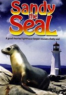 Sandy the Seal poster image