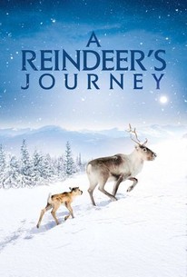 Watch trailer for A Reindeer's Journey