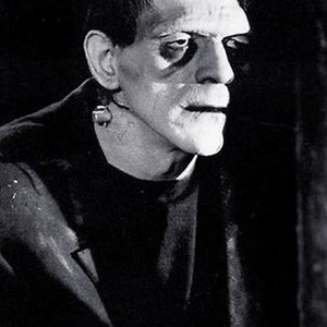 Frankenstein (1931) photo 7