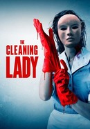 The Cleaning Lady poster image