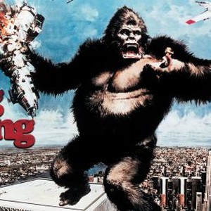 King Kong photo 12