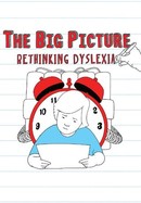 The Big Picture: Rethinking Dyslexia poster image