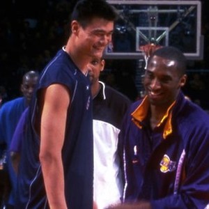 The Year of the Yao photo 6