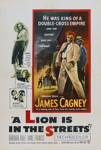 A Lion Is in the Streets poster