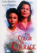 The Color of Courage poster image