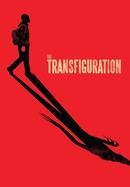 The Transfiguration poster image