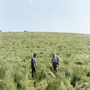 THE DUNE, (aka LA DUNE), l-r: Lior Ashkenazi,Niels Arestrup, 2013, ©Le Pacte