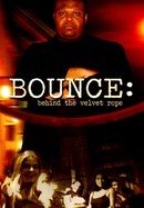 Bounce: Behind the Velvet Rope poster image