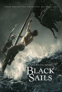 Black Sails: Season 2 poster image