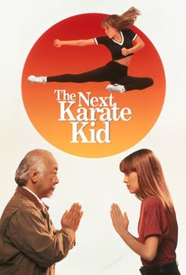 The Next Karate Kid Dvd