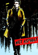Wet Asphalt poster image