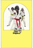 The Little Dragons poster image