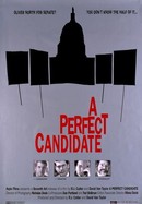 A Perfect Candidate poster image