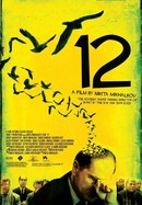 12 poster image