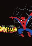 The Spectacular Spider-Man poster image