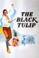 The Black Tulip