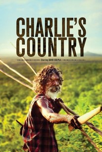 Watch trailer for Charlie's Country