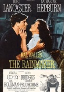 The Rainmaker poster image