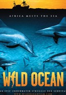 Wild Ocean poster image