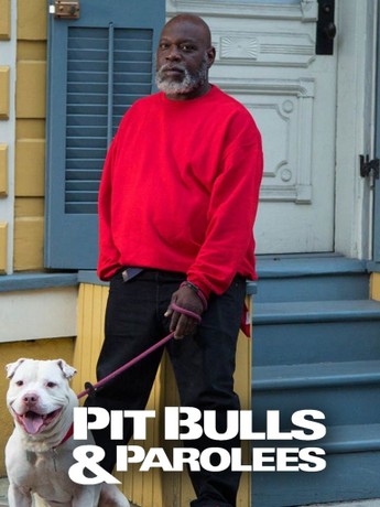 Pitbulls and parolees leash online