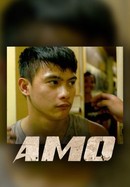 AMO poster image