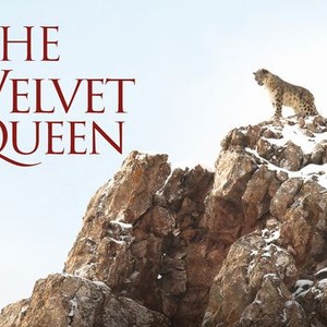 "The Velvet Queen photo 1"