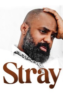 Stray (2022) | Rotten Tomatoes