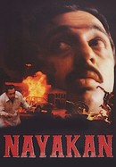 Nayakan poster image