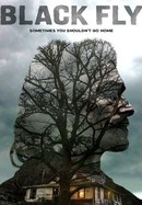 Black Fly poster image