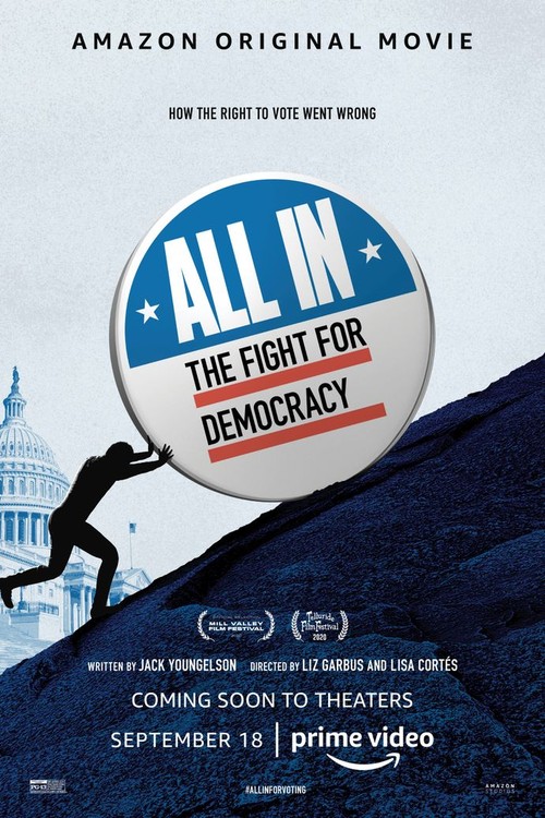 All In: The Fight for Democracy poster