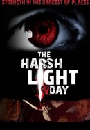 The Harsh Light of Day poster image
