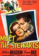 Meet the Stewarts poster image