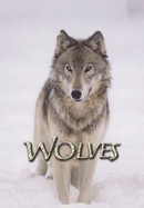 Wolves poster image