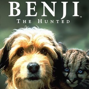 "Benji the Hunted photo 10"