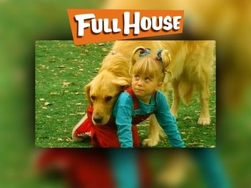 25KB 2001 null null null null 9 21 21 1 2003 null V1vEynCbo3lBcM