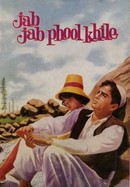 Jab Jab Phool Khile poster image