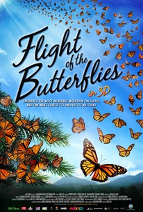 Flight of the Butterflies poster