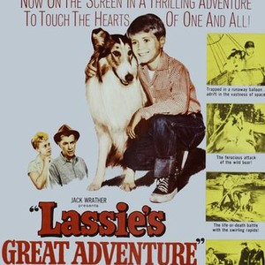 "Lassie's Great Adventure photo 5"