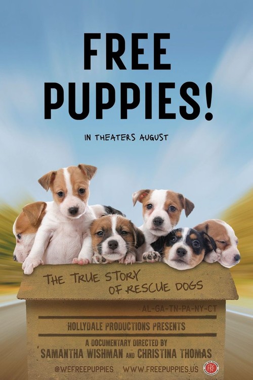 Free Puppies! poster
