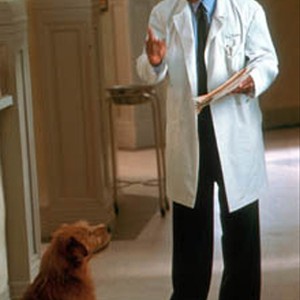 Dr. Dolittle (EDDIE MURPHY) talks to some ducks visiting his office for their yearly check-up in Twentieth Century Fox's comedy DR. DOLITTLE 2. photo 9