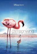 The Crimson Wing: Mystery of the Flamingos poster image